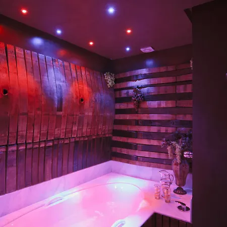 洛斯帕拉赫斯酒店 3*