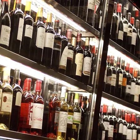 酒店 洛斯帕拉赫斯酒店